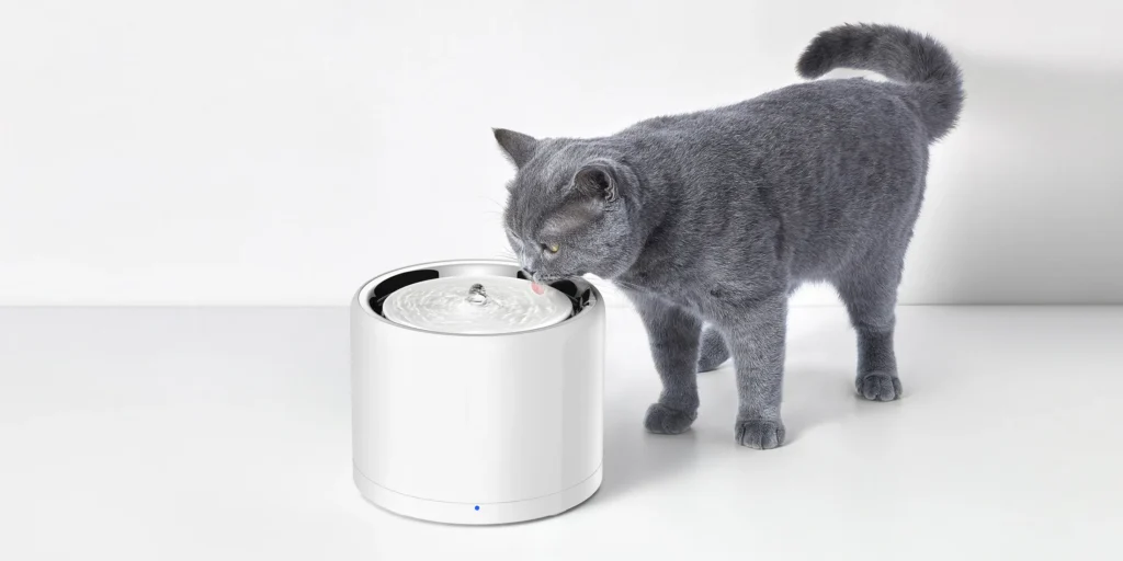 Petkit Eversweet 3 Pro Review by Peppa's Owner