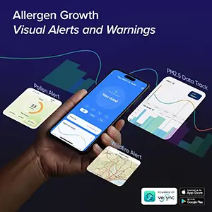 Smart Cat Room Guide 2026