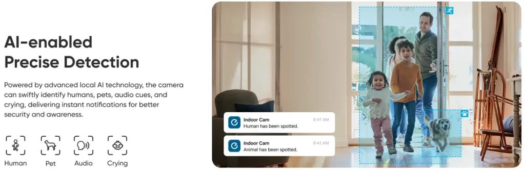 Smart Cat Room Guide 2026